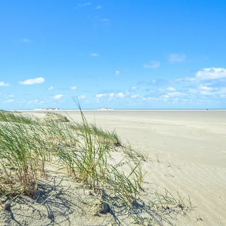 Lakolk Xii Denmark Romo