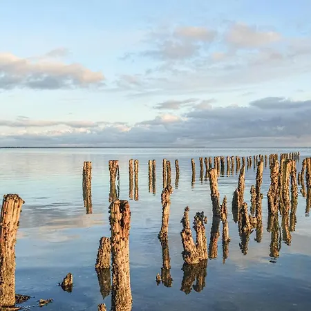 Lakolk Xii Denmark * Romo